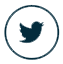 icono twitter